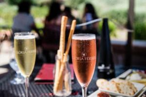 滨湖区小学生篮球联赛赛况报道滨湖区小学生篮球联赛比赛