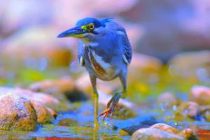 五个联赛，第一家法甲冠军，一个传奇的起源五个联赛第一家法甲冠军