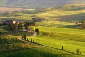 点燃激情,挑战未来—培训班篮球联赛盛启培训班篮球联赛宣传语简短